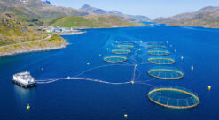 Fiskeoppdrettsanlegg